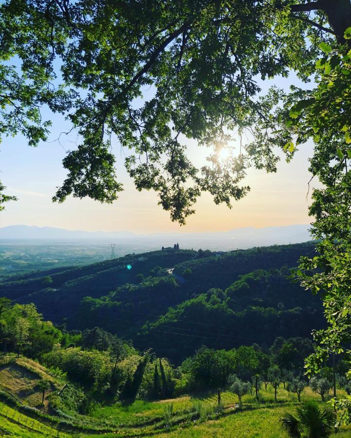 Villa Del Parco In Tuscany San Baronto Екстериор снимка